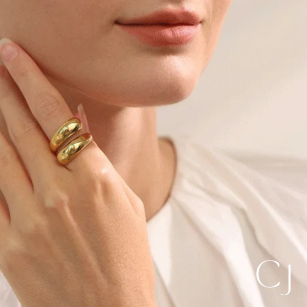 Bague acier inoxydable double