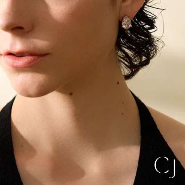 Boucles d'oreilles acier inoxydable zircon