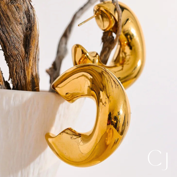 Boucles d'oreilles Créoles Acier inoxydable